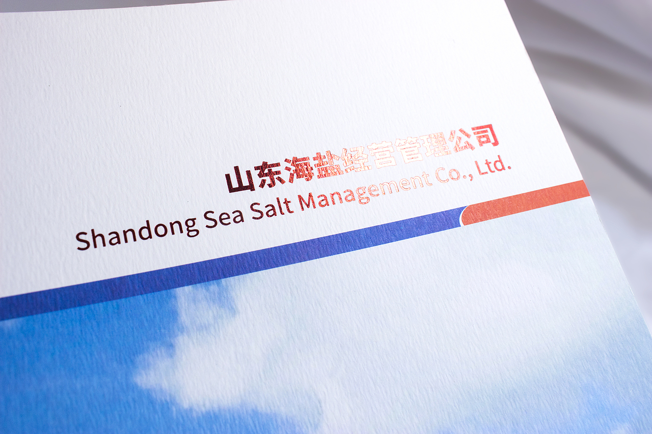 企业画册（图ZMTAwMjY0NDUy） - 书籍/画册 - 站酷设计师地平线包装设计原创素材 - 站酷ZCOOL