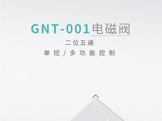 GNT-001电磁阀