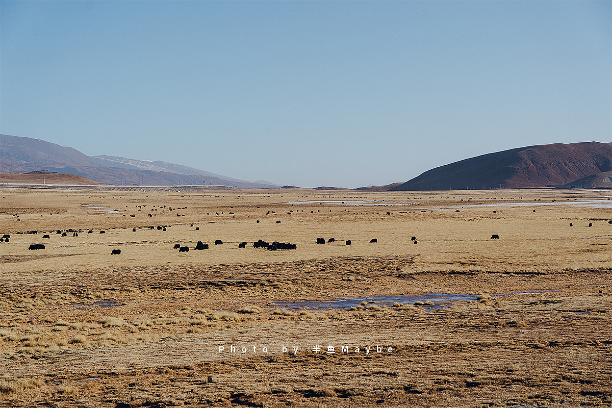 冬游西藏|唐古拉山 纳木措 拉萨