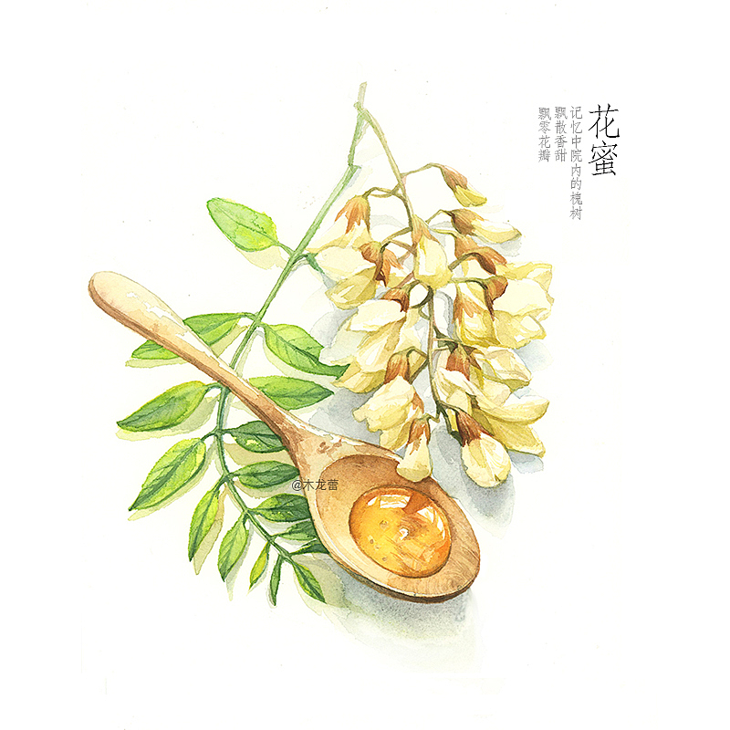 【水彩夏天】食物记录生活，有色彩的味道（酸甜苦辣系列II）（图ZNTM0ODg0ODQ=） - 商业插画 - 站酷设计师木龙蕾原创素材 - 站酷ZCOOL