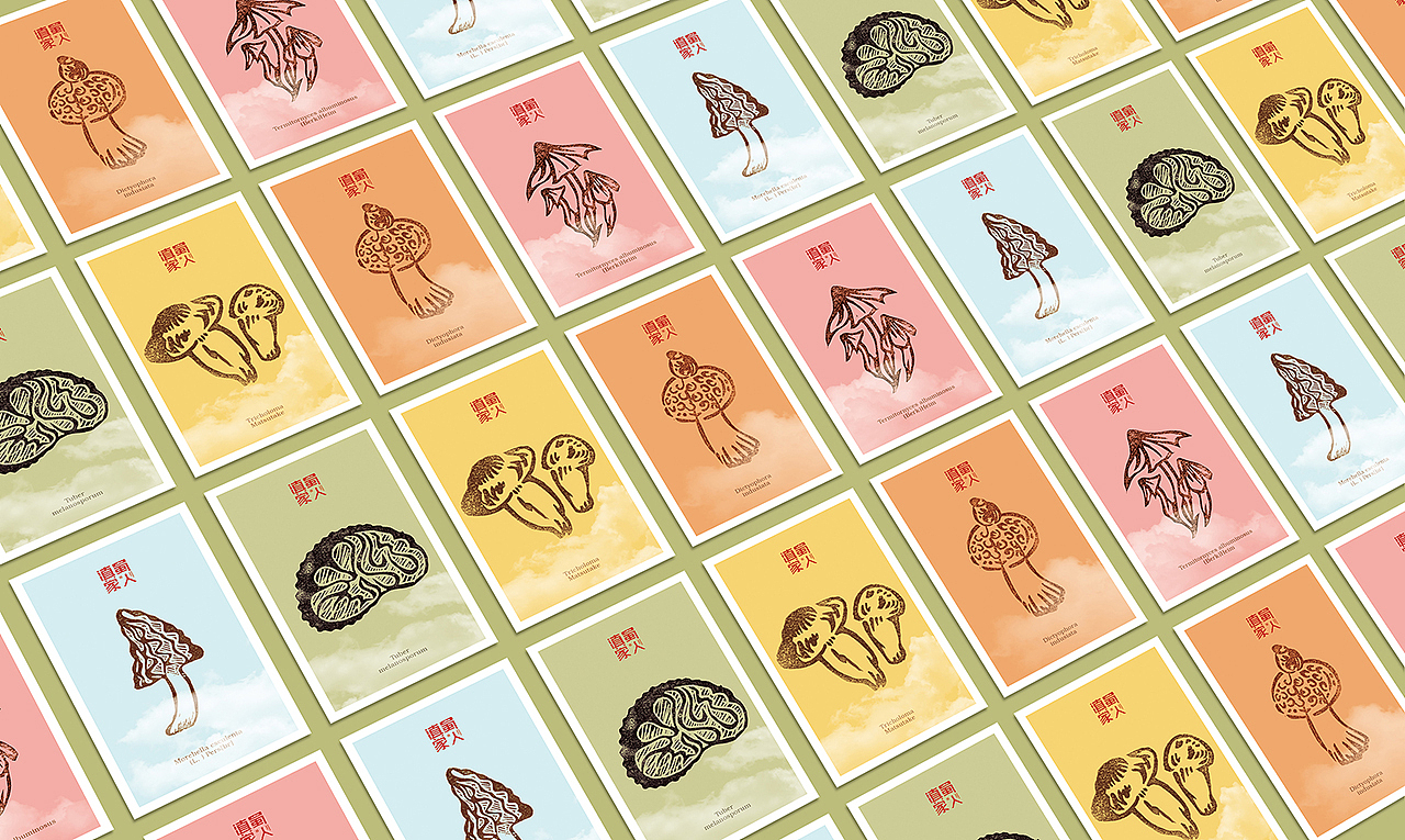 云南“滇蜀家人”野生菌系列包装——意形社