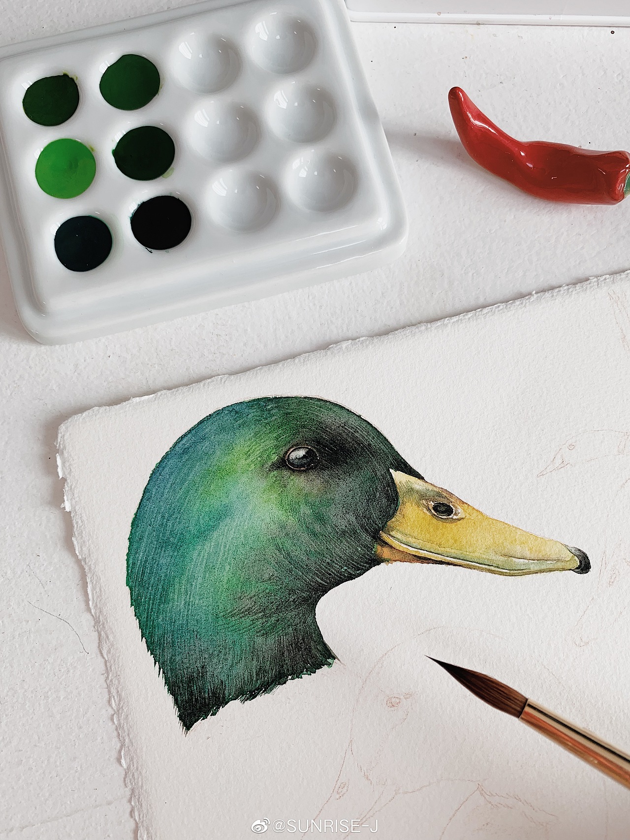 水彩 绿头鸭|插画|商业插画|文静手绘_原创作品-站酷zcool