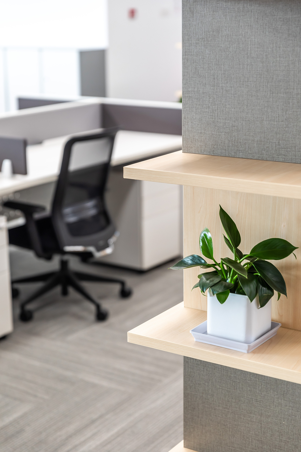 佳能（中国）完工照片