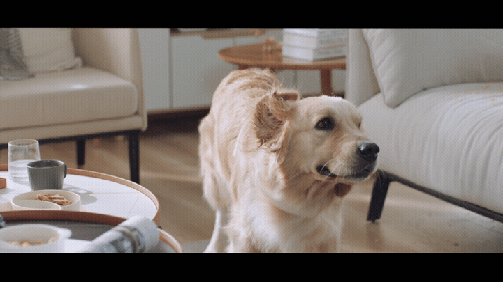 莱克吸尘器|TVC|响马摄影（图ZMjI3MjgyMTky） - 短片 - 站酷设计师响马摄影原创素材 - 站酷ZCOOL