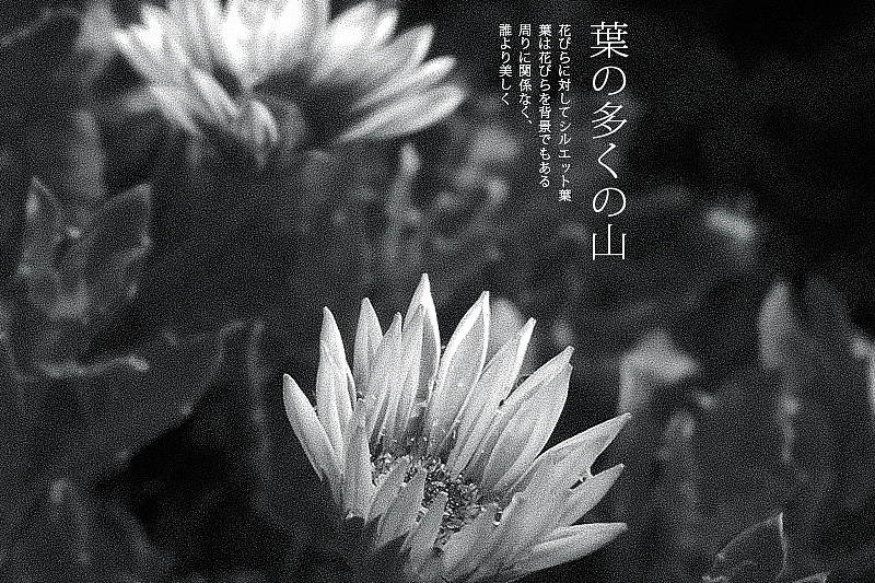 废片实验（图ZMTQ3MTQ2MDA=） - 其他摄影 - 站酷设计师AlexNin原创素材 - 站酷ZCOOL