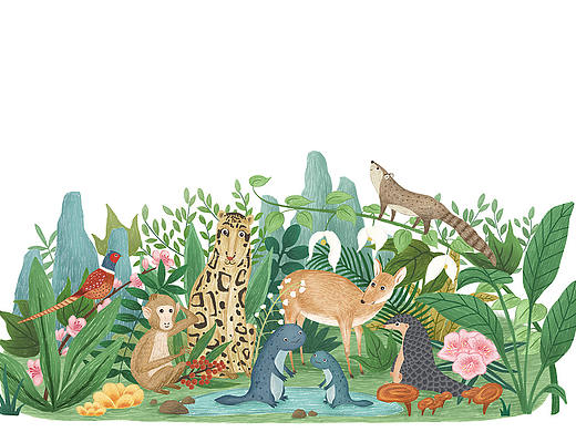 大鲵与它的朋友们