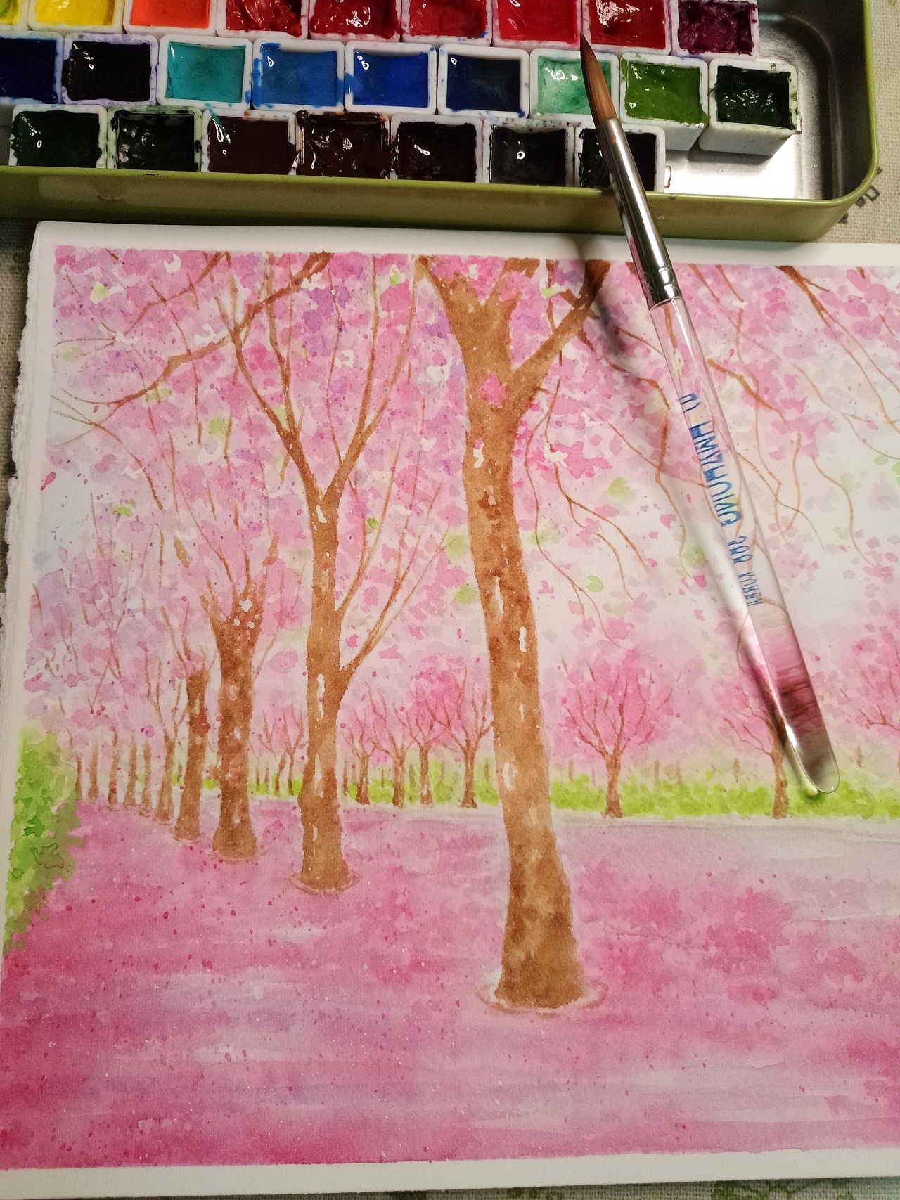 水彩风景紫荆花