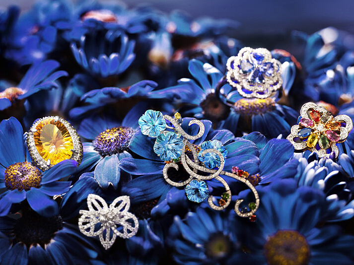 花儿的缠绵 珠宝的贵 演绎了一出唯美的温馨画面——瓦力