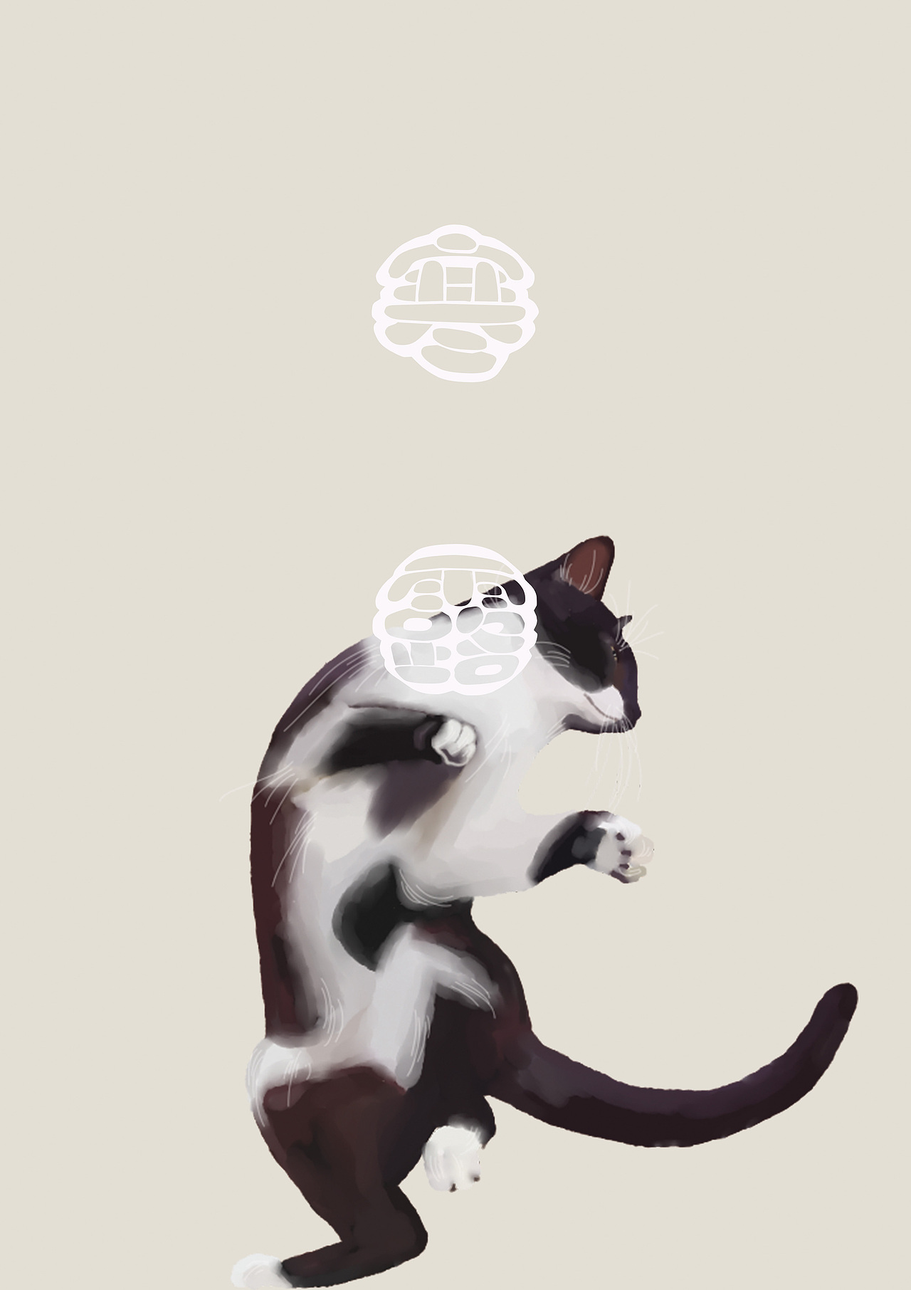 猫咪24节气插画