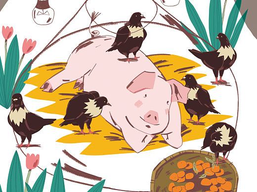 猪猪和它的鸟伙伴（个人主页-ZNTcxNTMxNjQ=） - 创作习作 - 站酷设计师DD2302原创素材 - 站酷ZCOOL