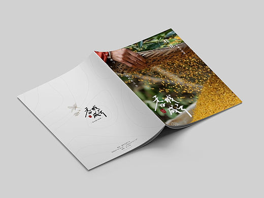 桂花宣传册