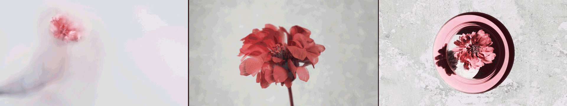 SOYA-2018 Motion Design