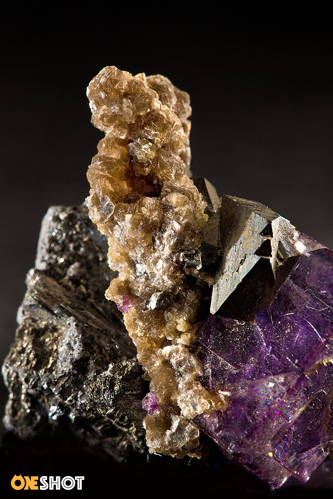 一些化石和矿石（图ZMTM4NTYzMDY0） - 产品摄影 - 站酷设计师WildKay原创素材 - 站酷ZCOOL