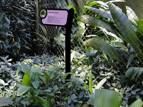 奋发设计分享巴西圣保罗动物园导视系统