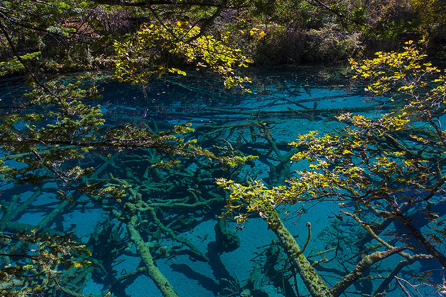 2014·10九寨沟（图ZMjA5NDc5Mjg=） - 风光摄影 - 站酷设计师RyanShao原创素材 - 站酷ZCOOL