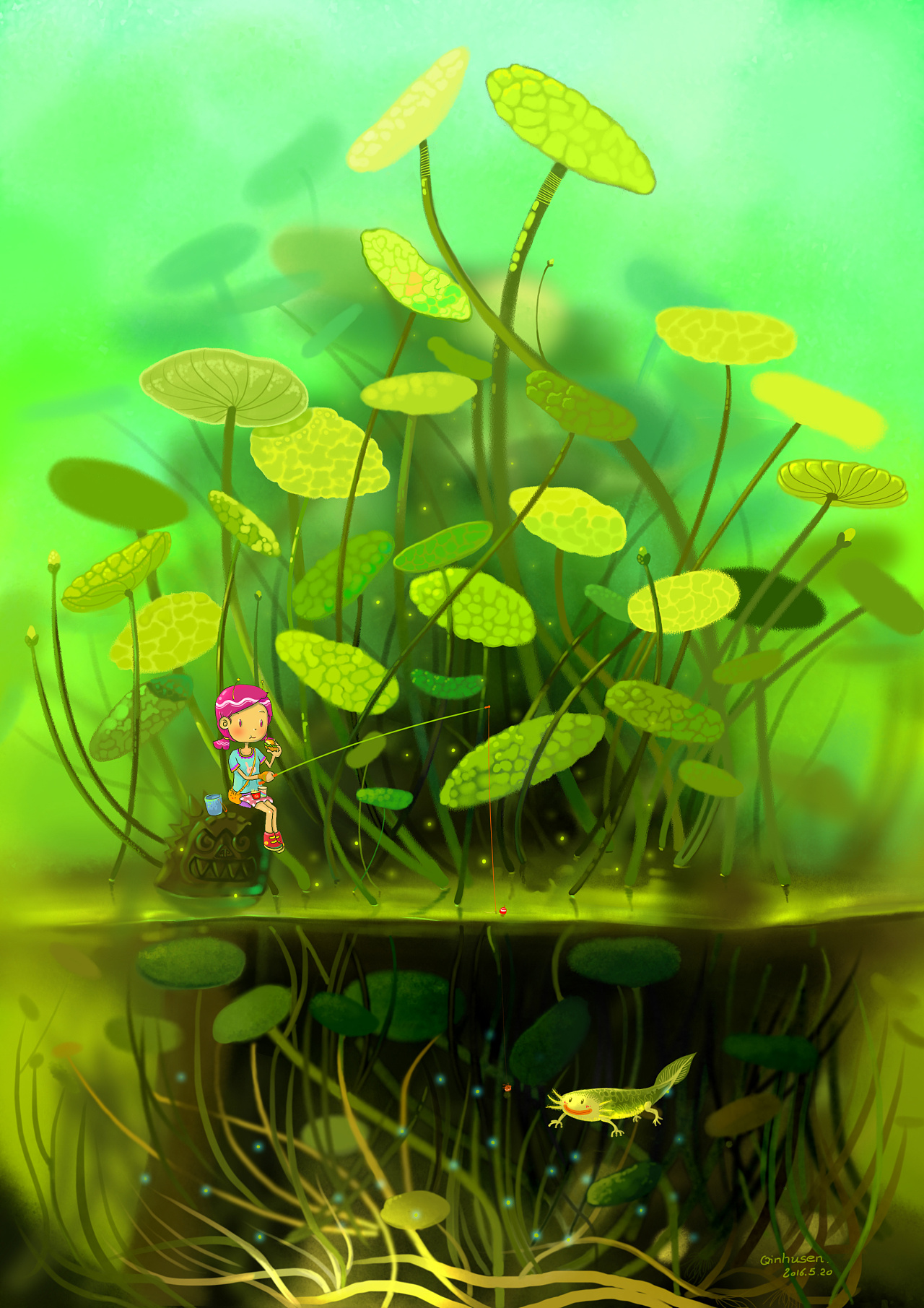 水里养的铜钱草