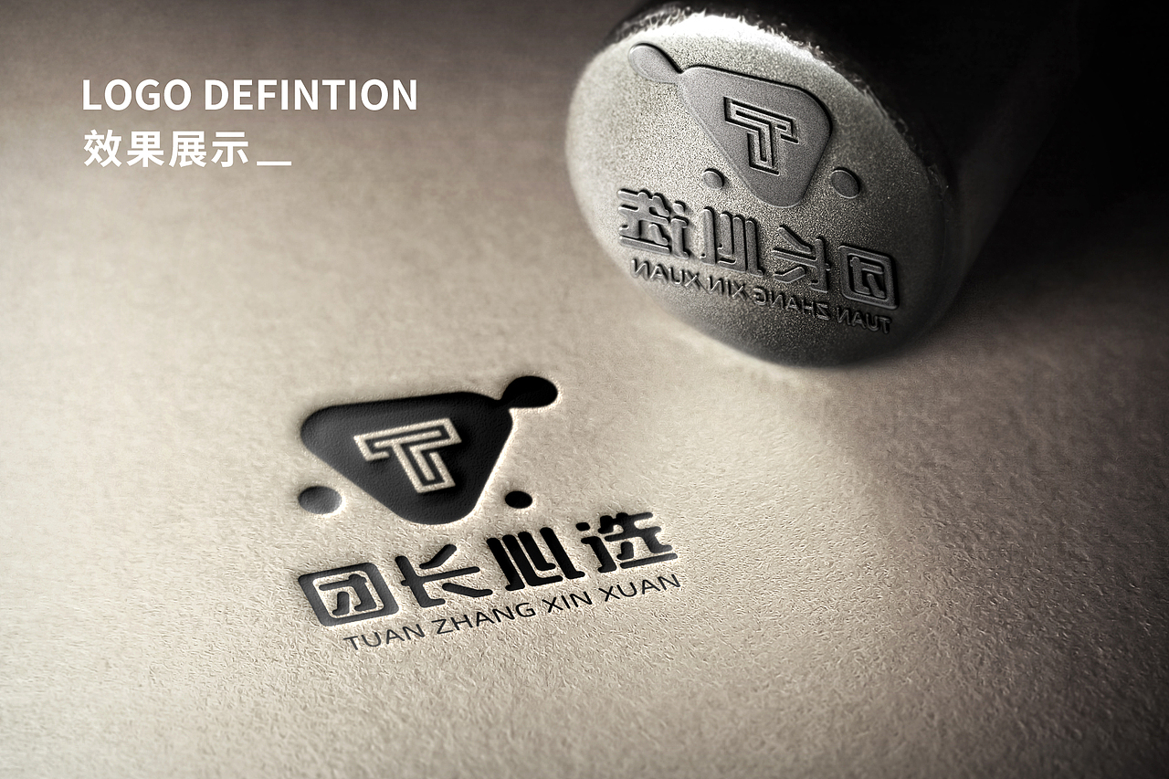 团长心选 品牌LOGO提案