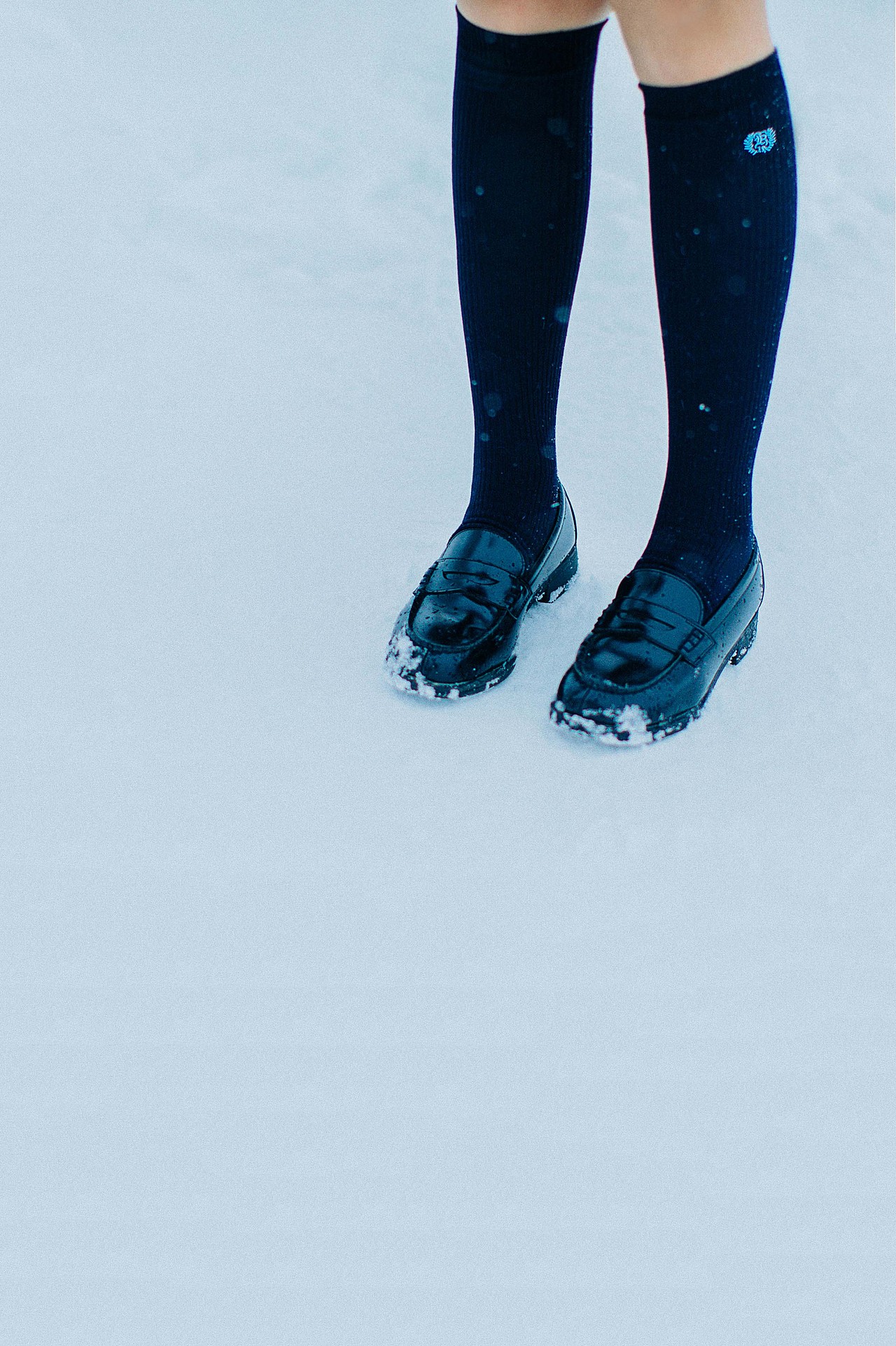 雪が降っている