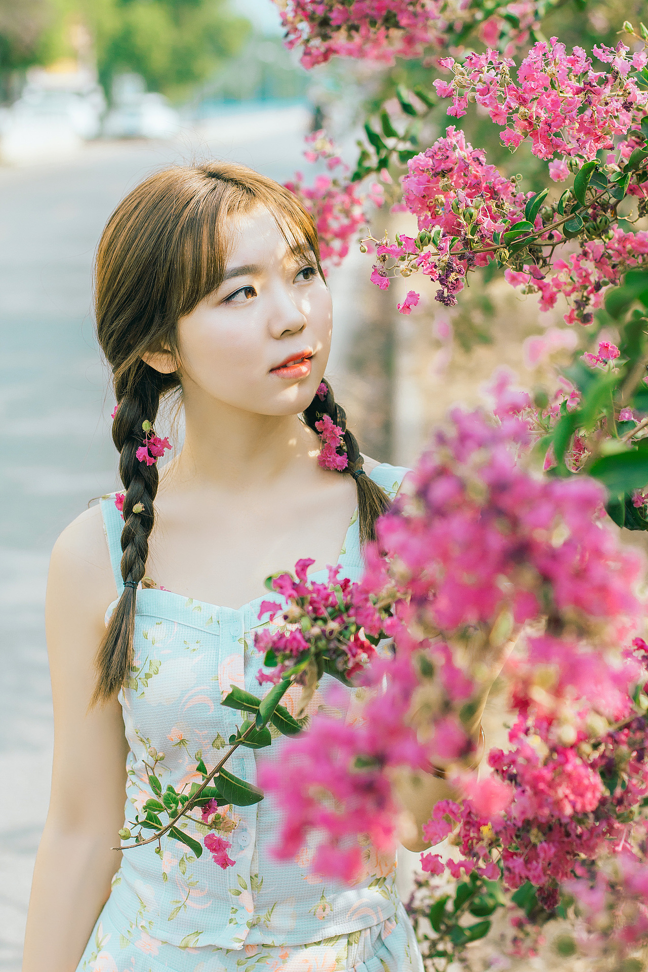 「鲜花小径」（图ZNjA3Mzc5NjQ=） - 人像摄影 - 站酷设计师陈阿鱼原创素材 - 站酷ZCOOL