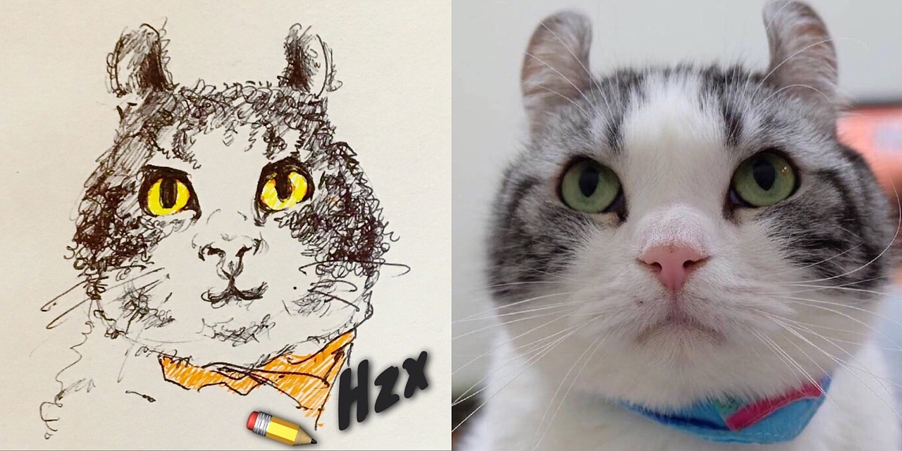 猫咪（图ZMTA3NDQ2MTg4） - 创作习作 - 站酷设计师Cindy子欣原创素材 - 站酷ZCOOL