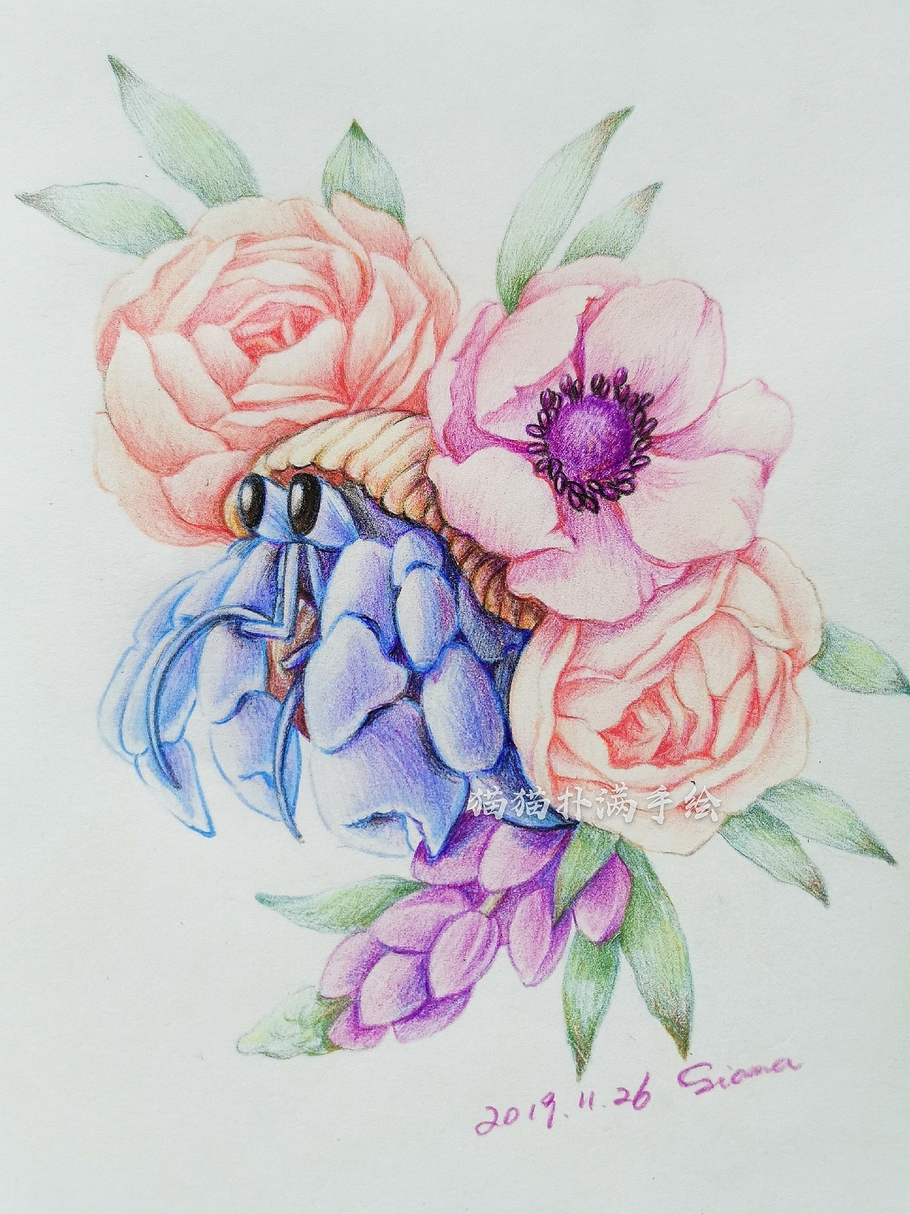 彩铅 手绘 寄居蟹