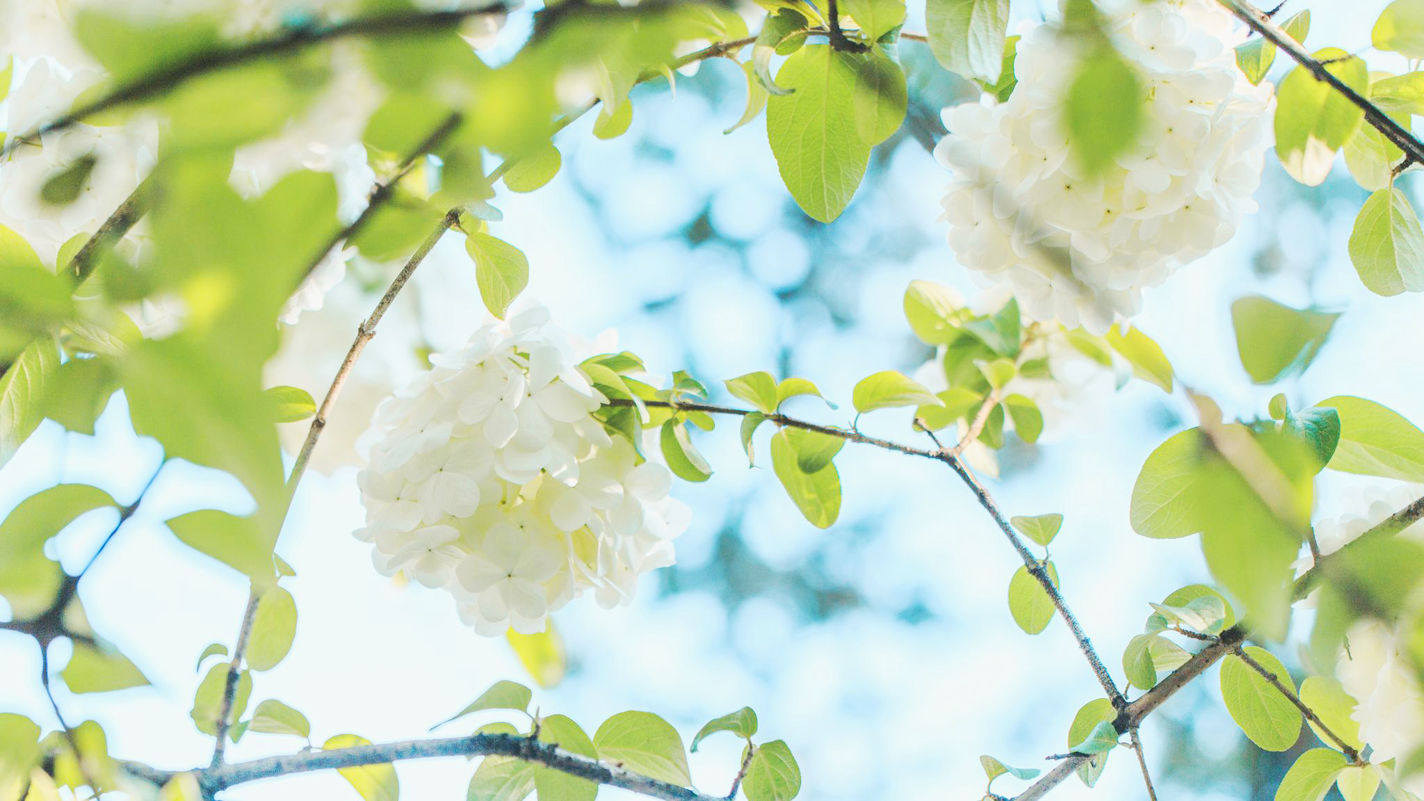 Chrisseven的個(gè)人主頁(yè)（封面預(yù)覽） - 主頁(yè)封面設(shè)置 - 站酷設(shè)計(jì)師Chrisseven原創(chuàng)素材 - 站酷ZCOOL