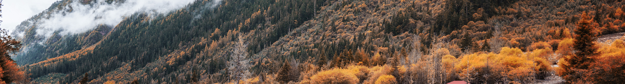 設(shè)計(jì)師小V的個(gè)人主頁(yè)（封面預(yù)覽） - 主頁(yè)封面設(shè)置 - 站酷設(shè)計(jì)師設(shè)計(jì)師小V原創(chuàng)素材 - 站酷ZCOOL