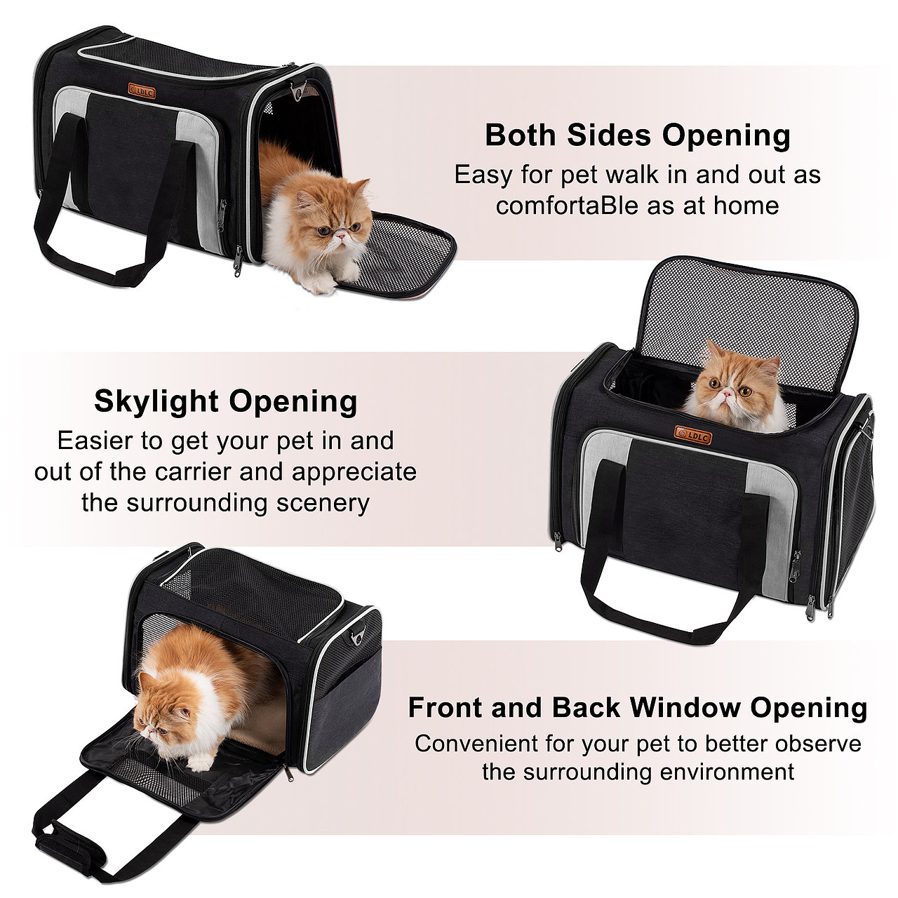 亚马逊跨境电商图-宠物用品-猫包拍摄制作