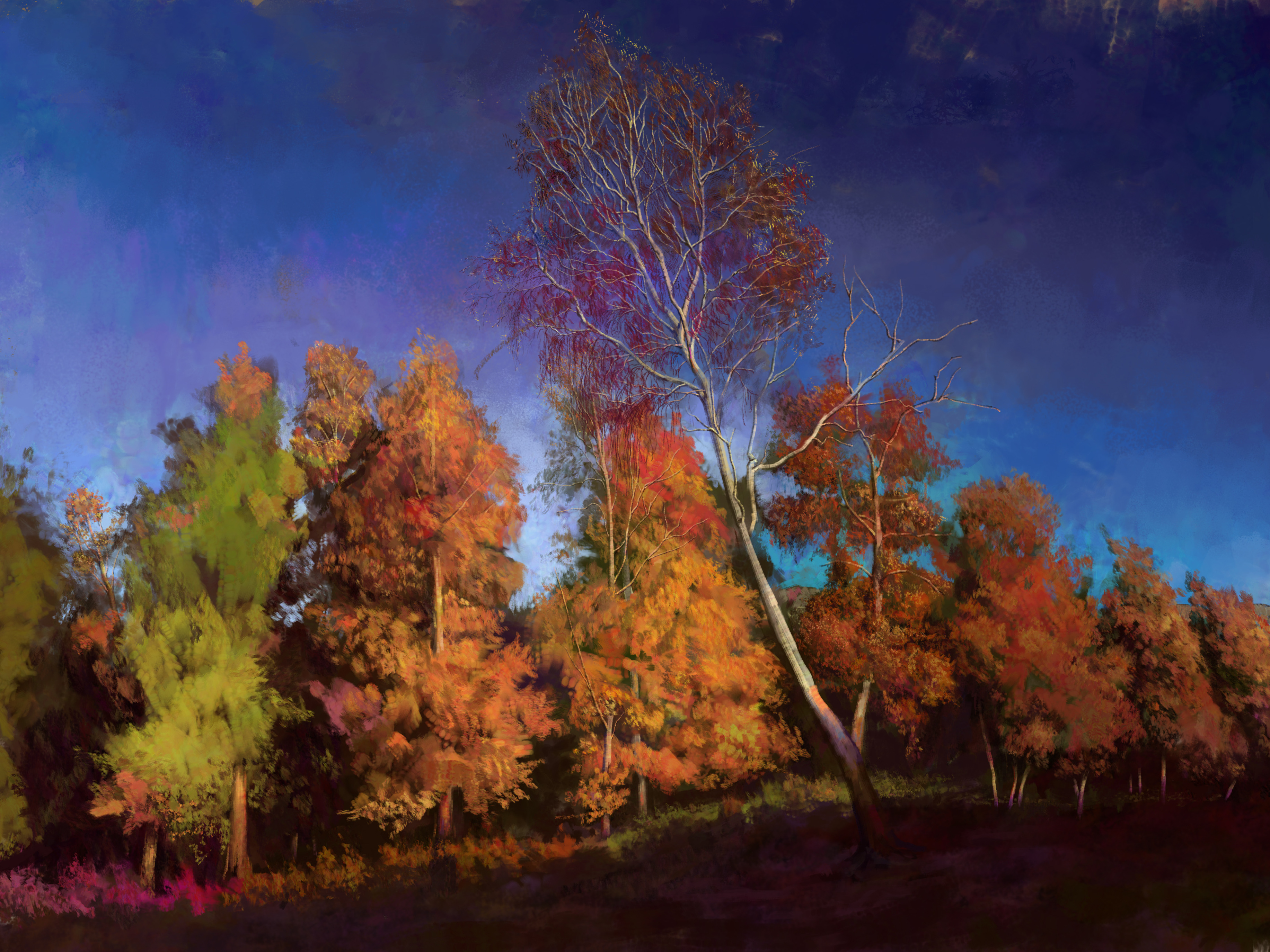 cg风景森林习作秋天森林废弃船船短期