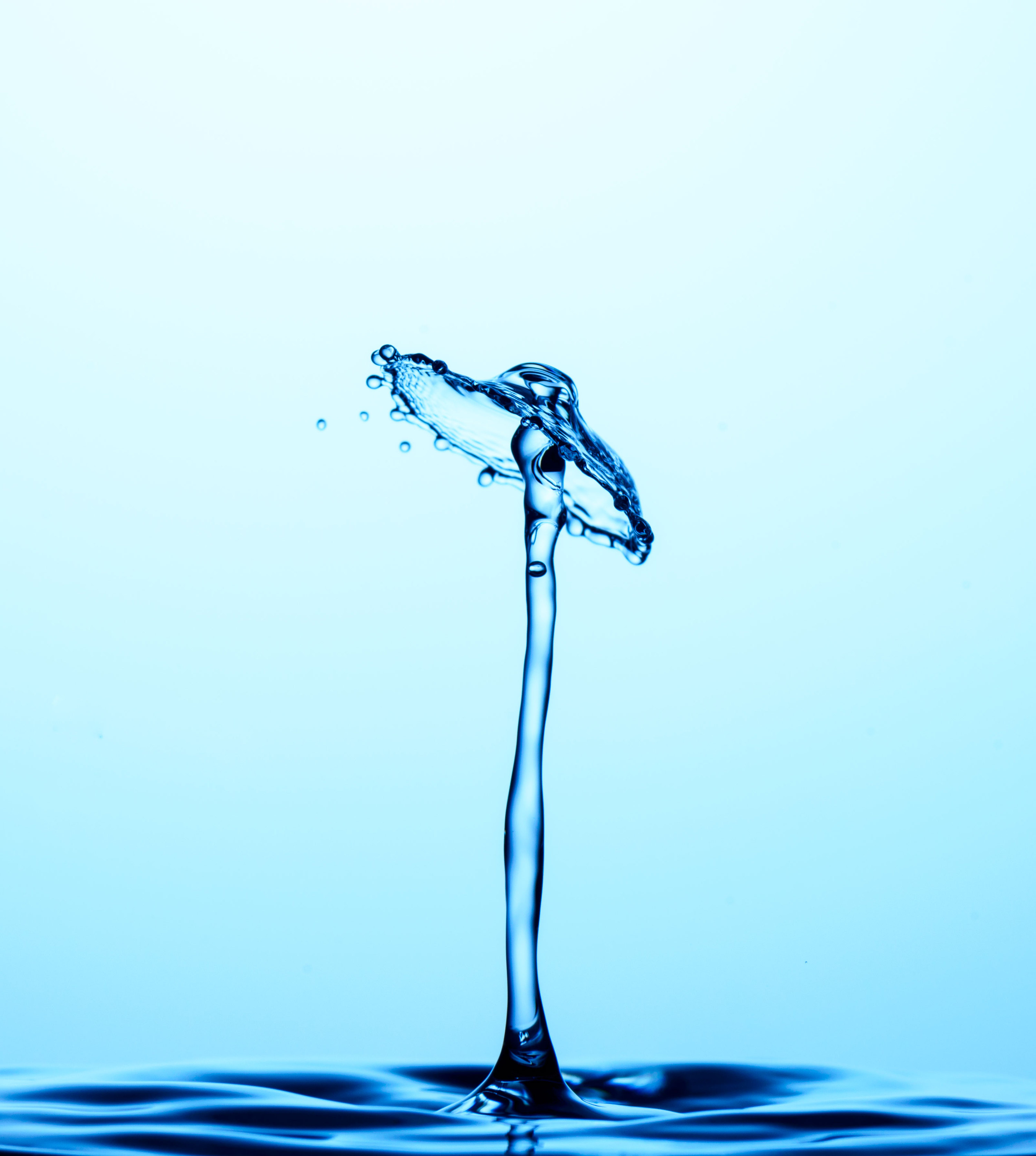 水花|摄影|静物|疾亮切 - 原创作品 - 站酷 (zcool)