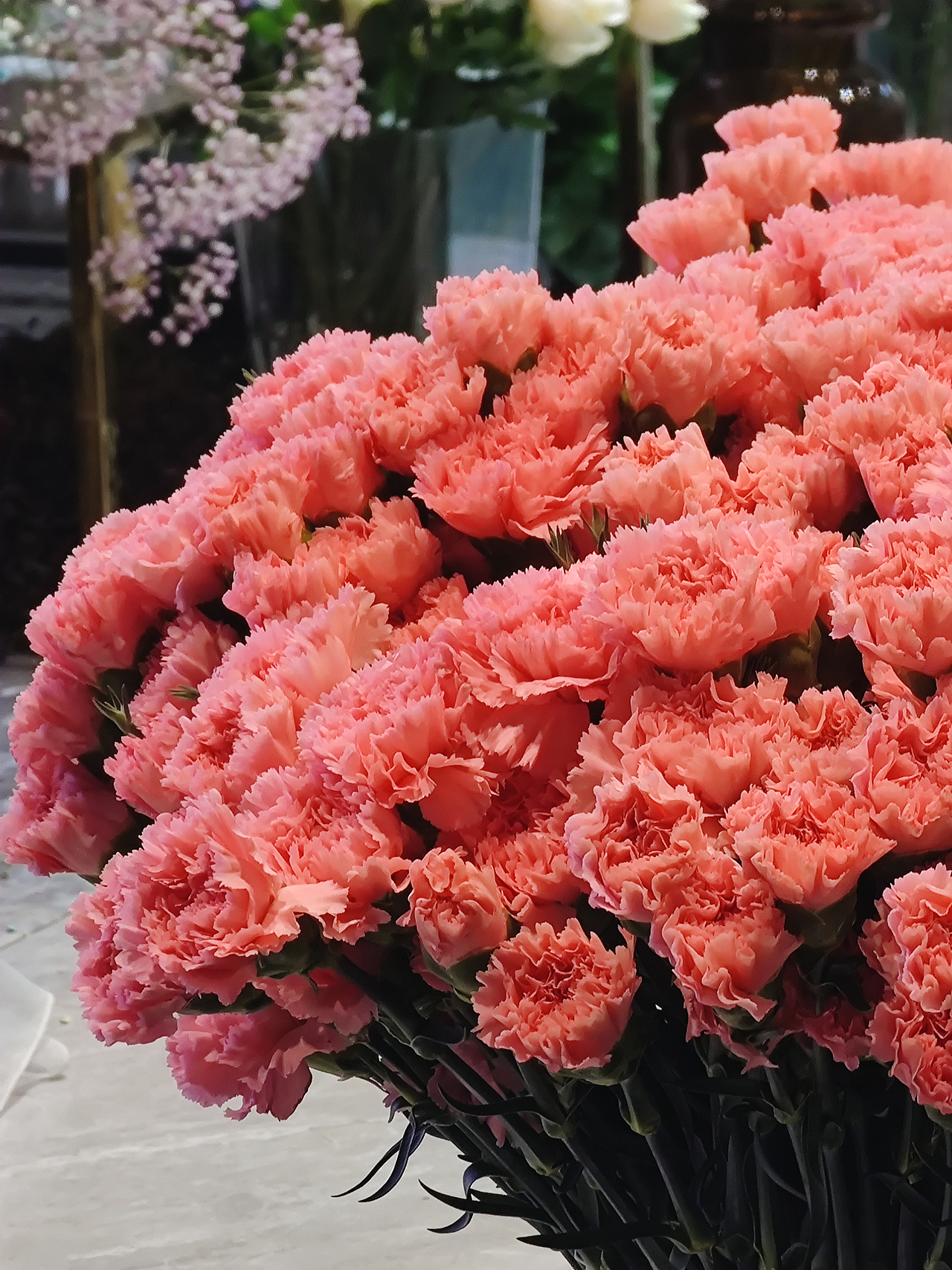 希望我们都能在春光里快乐（图ZMjkyNTU0Nzgw） - 风光摄影 - 站酷设计师一大口黑锅原创素材 - 站酷ZCOOL