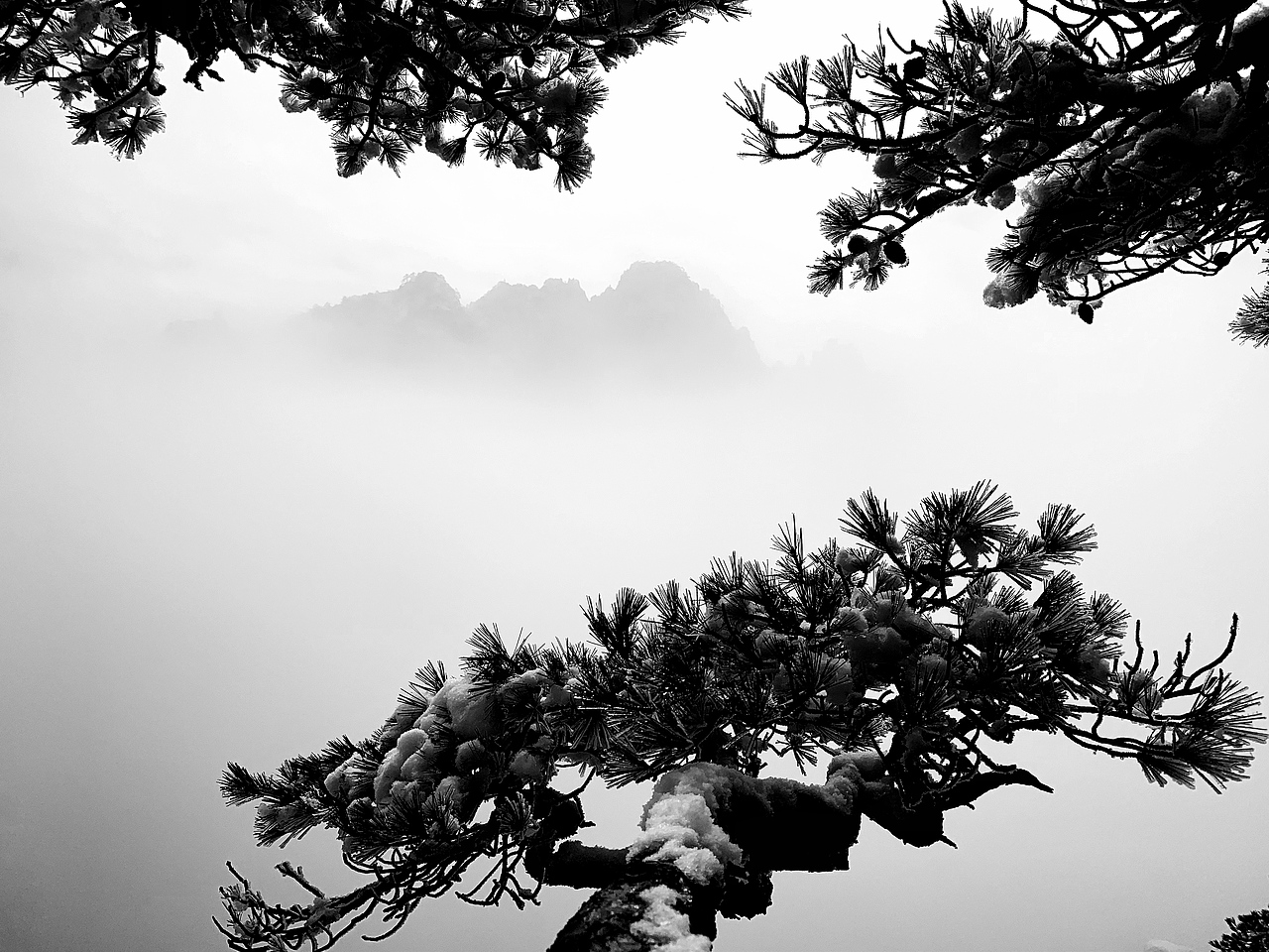 黄山-排云亭