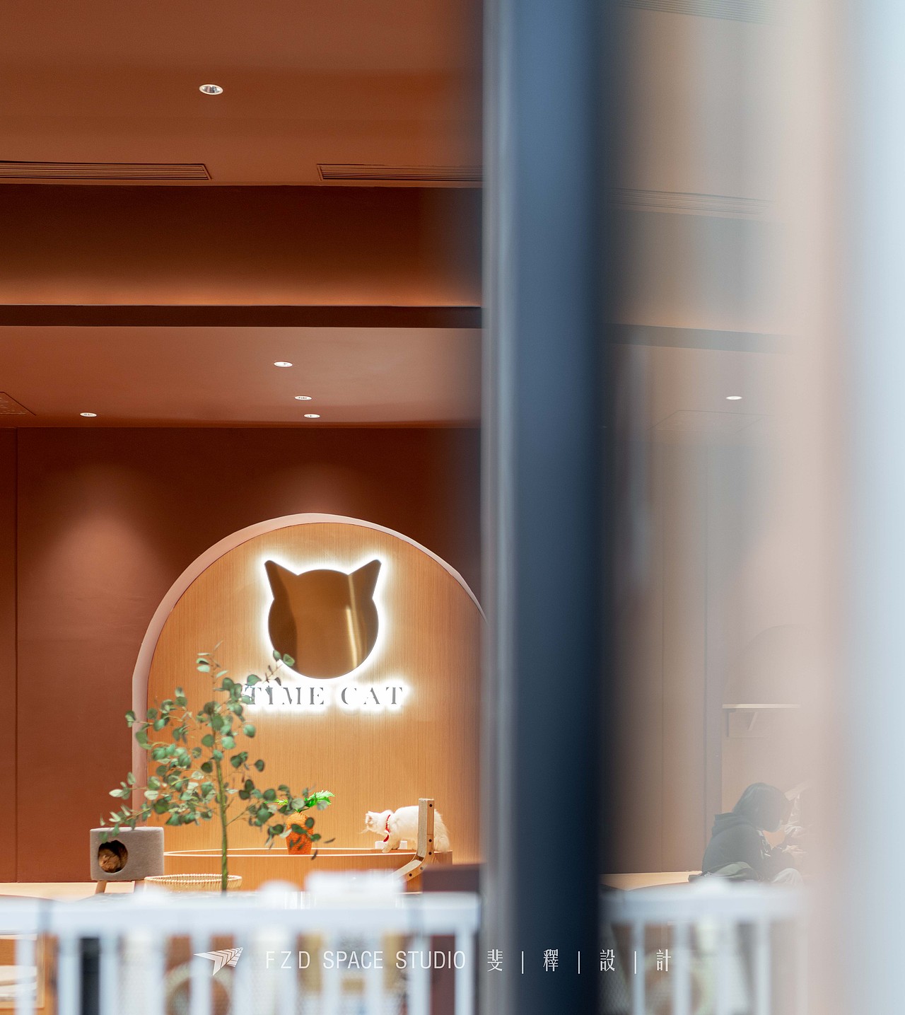 时光猫 TIME CAT
