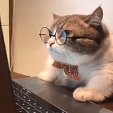 二手画笔的头像