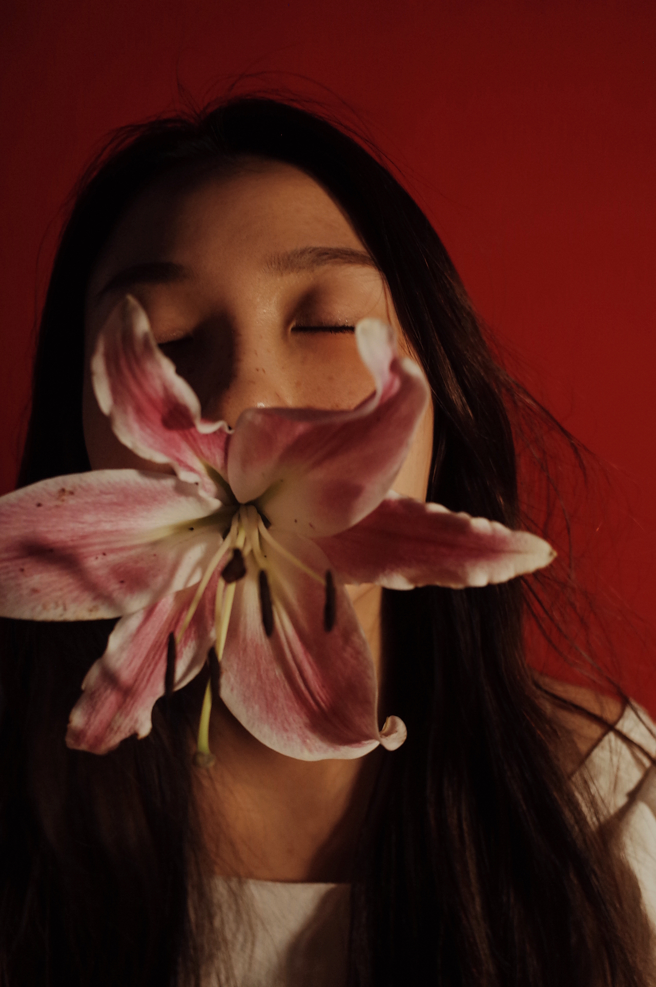 红 百合（图ZMjU3NzMxODIw） - 人像摄影 - 站酷设计师LYSDA原创素材 - 站酷ZCOOL