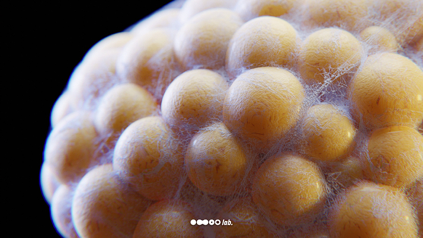 脂肪細(xì)胞（章魚(yú)小丸子）（圖ZMzE1NDc5MzEy） - 人物/生物 - 站酷設(shè)計(jì)師o(wú)moolab原創(chuàng)素材 - 站酷ZCOOL