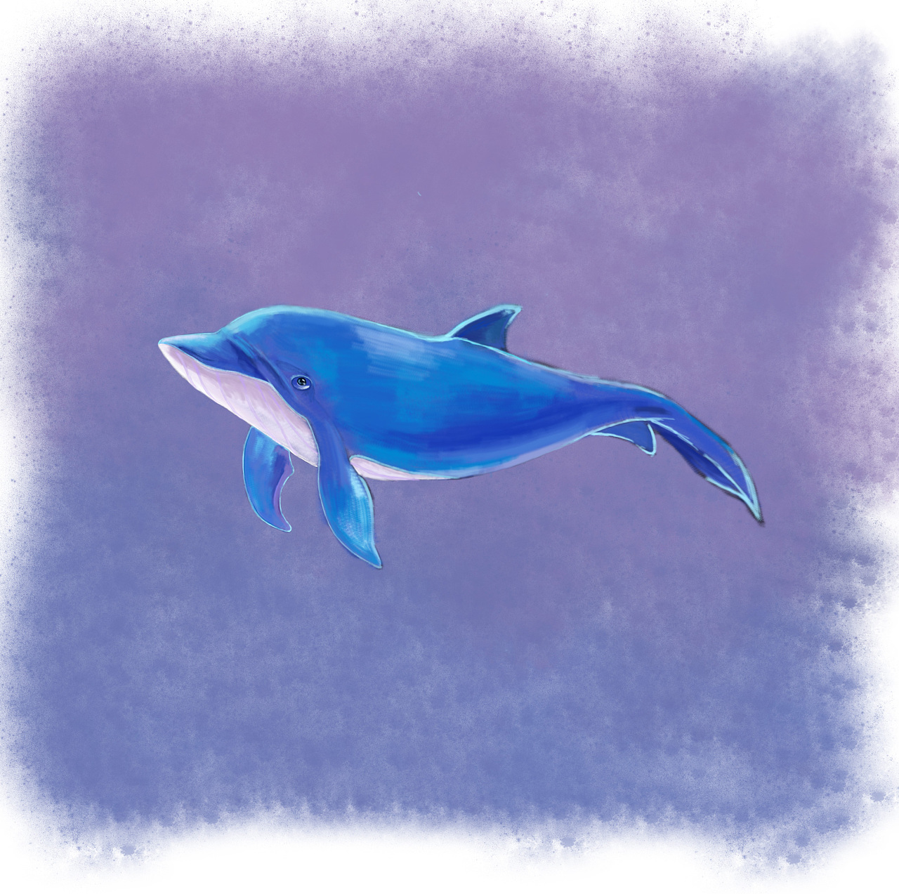小海豚绘本•一些设定|插画|绘本|Y颜颜颜 - 原创作品 - 站酷 (ZCOOL)