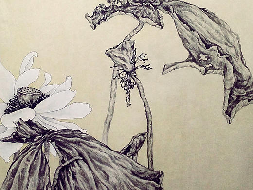 【国画】墨古荷花（个人主页-ZMzYxNTcxMjA=） - 绘画 - 站酷设计师黑金设计机构原创素材 - 站酷ZCOOL