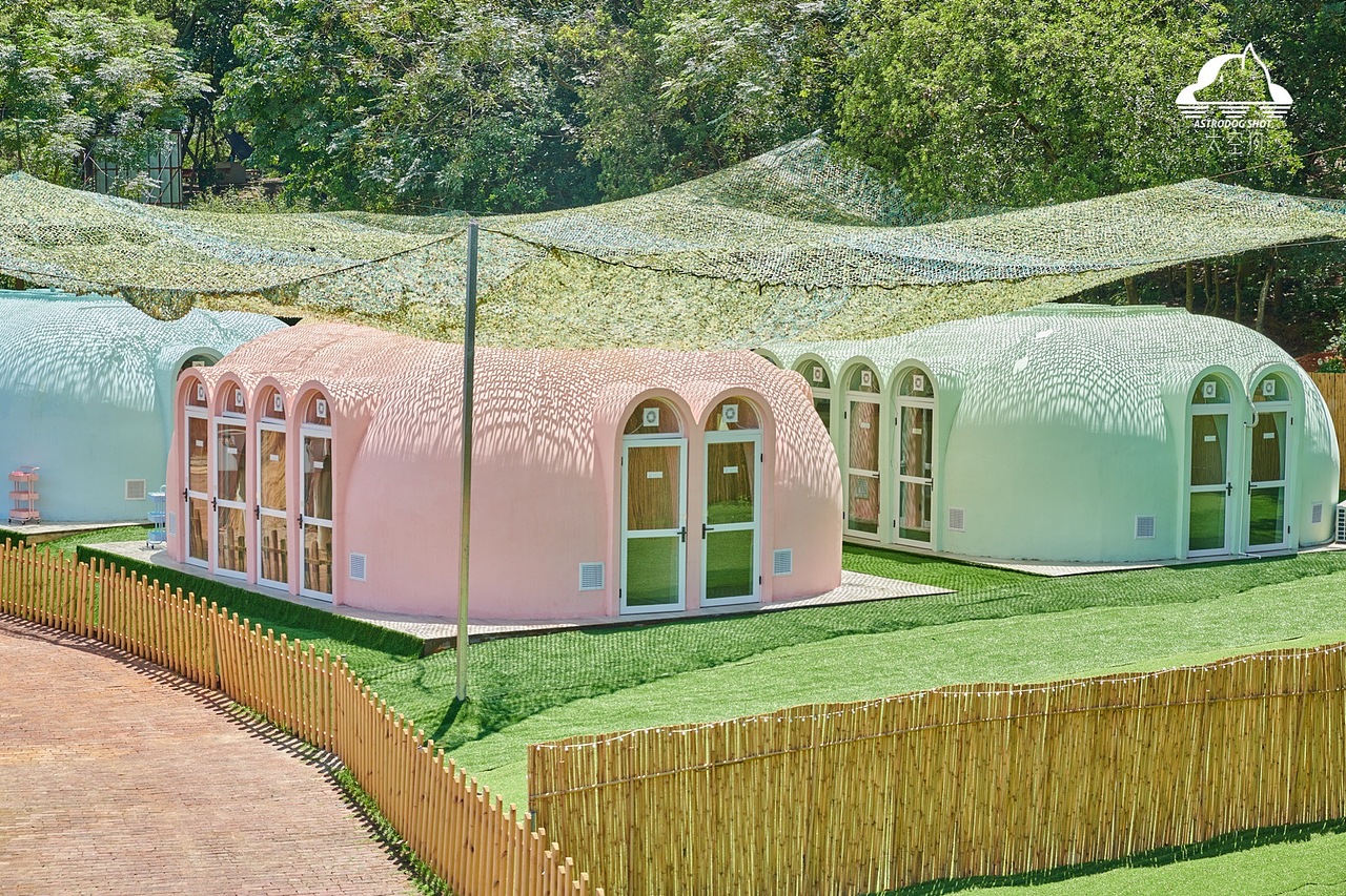 宠物乐园摄影-Unleash人宠和谐乐园（图ZMjc3MDQ3MjU2） - 宠物摄影 - 站酷设计师太空狗视觉原创素材 - 站酷ZCOOL