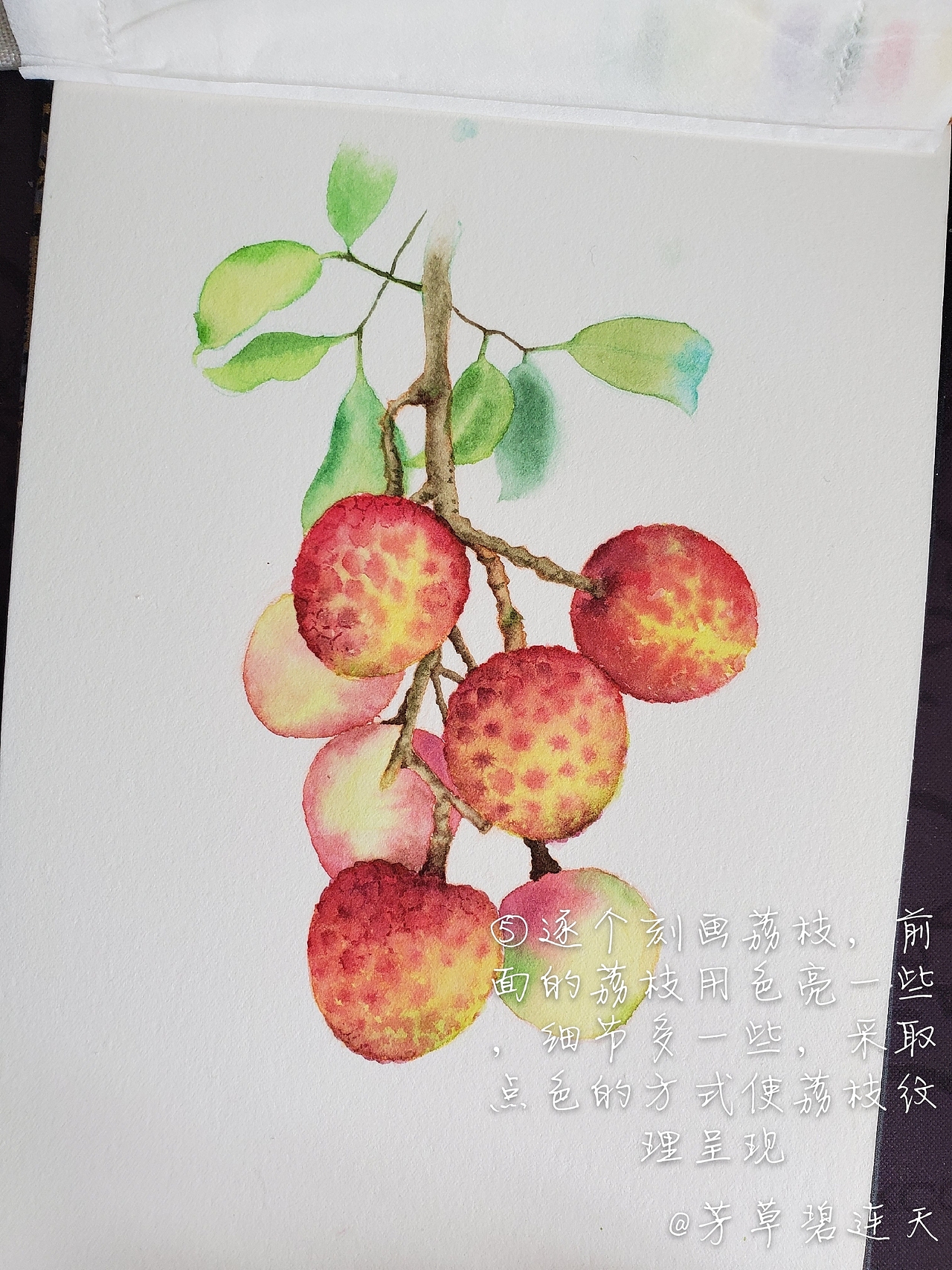 原創(chuàng)水彩水果荔枝步驟圖 芳草碧連天（圖ZMTk3OTYzODU2） - 繪畫 - 站酷設計師芳草碧連天水彩原創(chuàng)素材 - 站酷ZCOOL