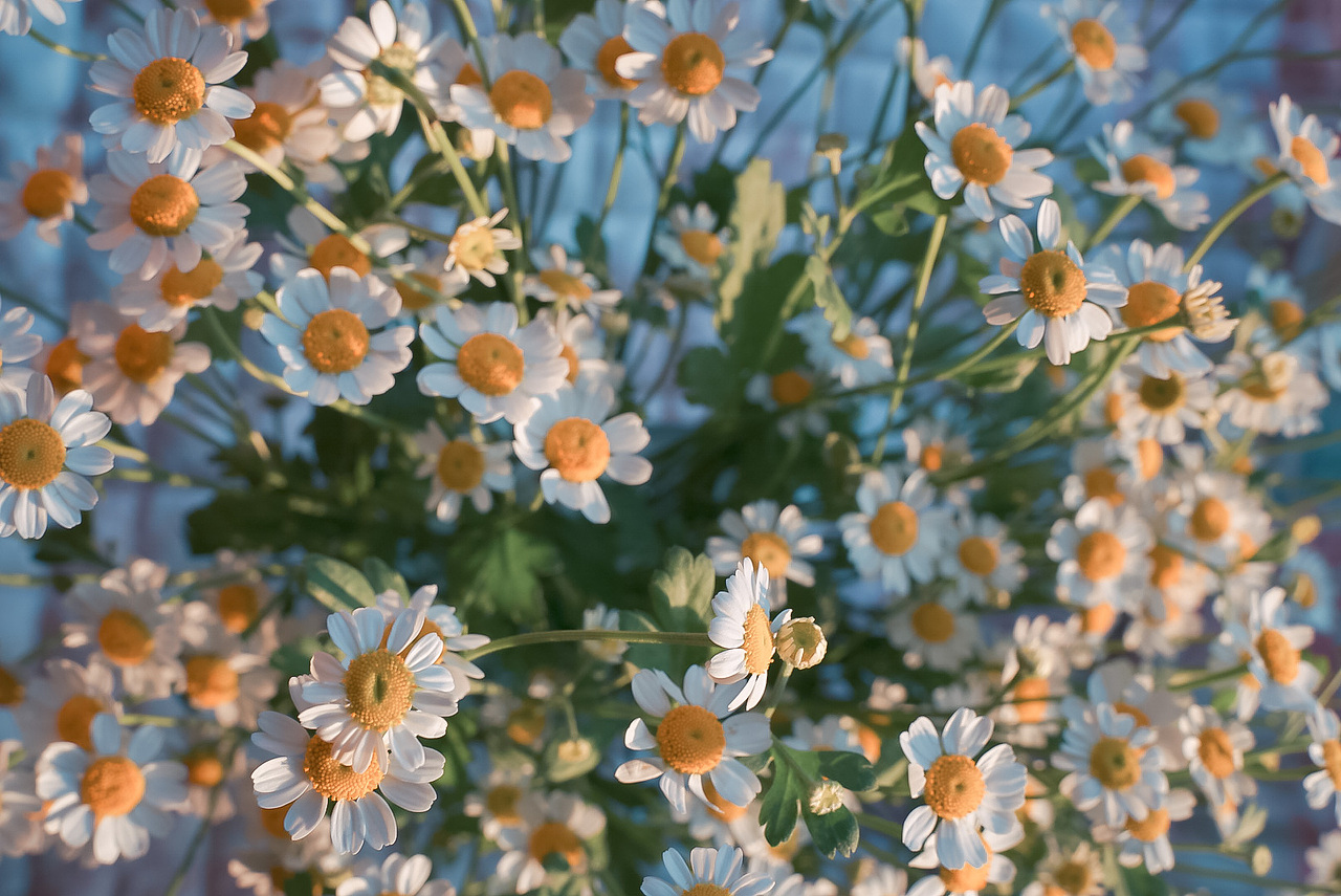 春天（图ZMjAwOTkyMDQw） - 风光摄影 - 站酷设计师丶荧光乌贼原创素材 - 站酷ZCOOL