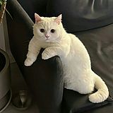 JSky_猫的头像