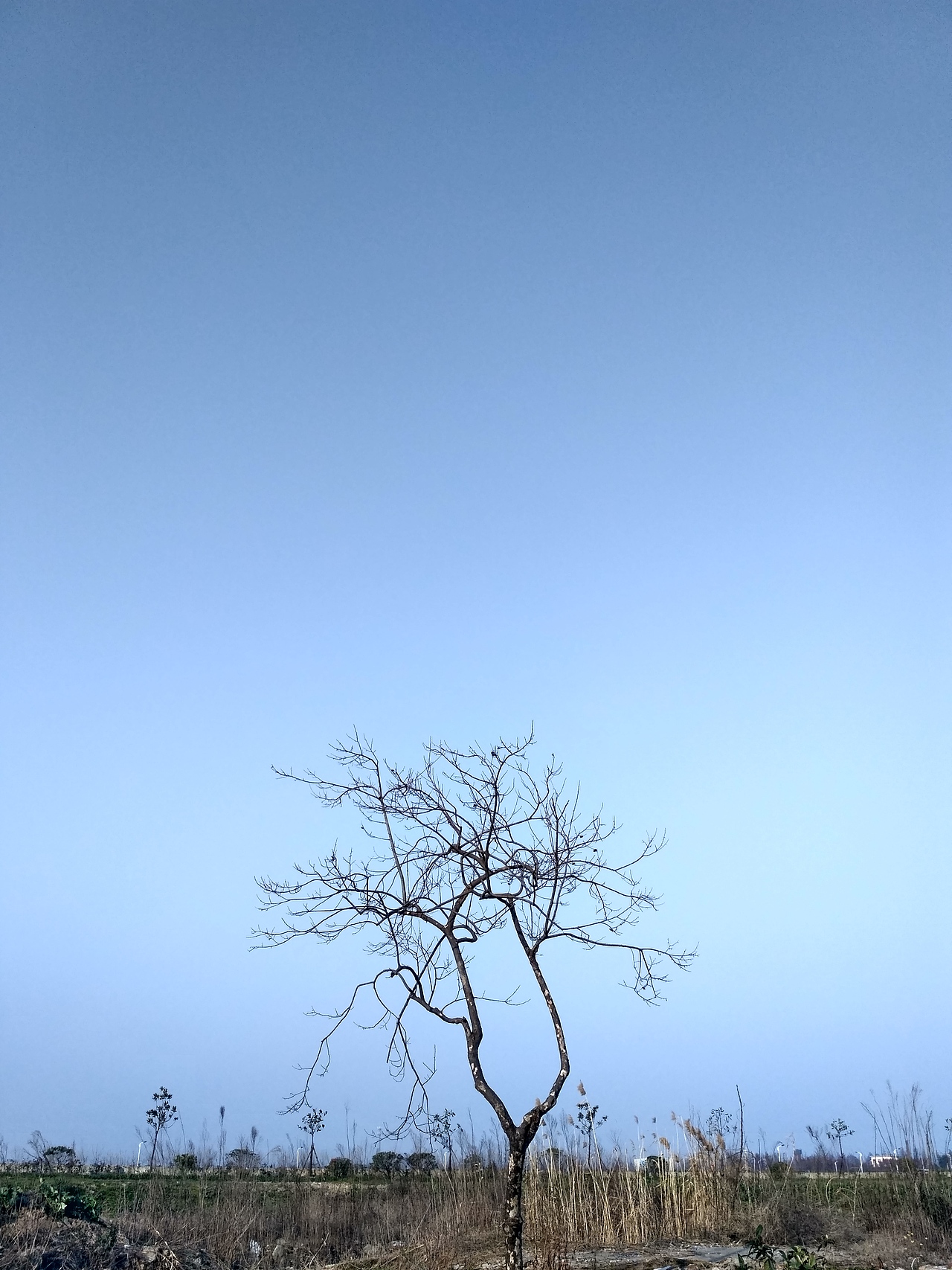 顺手拍（图ZNjkzNDg4ODA=） - 风光摄影 - 站酷设计师腿肉一蹶不起原创素材 - 站酷ZCOOL