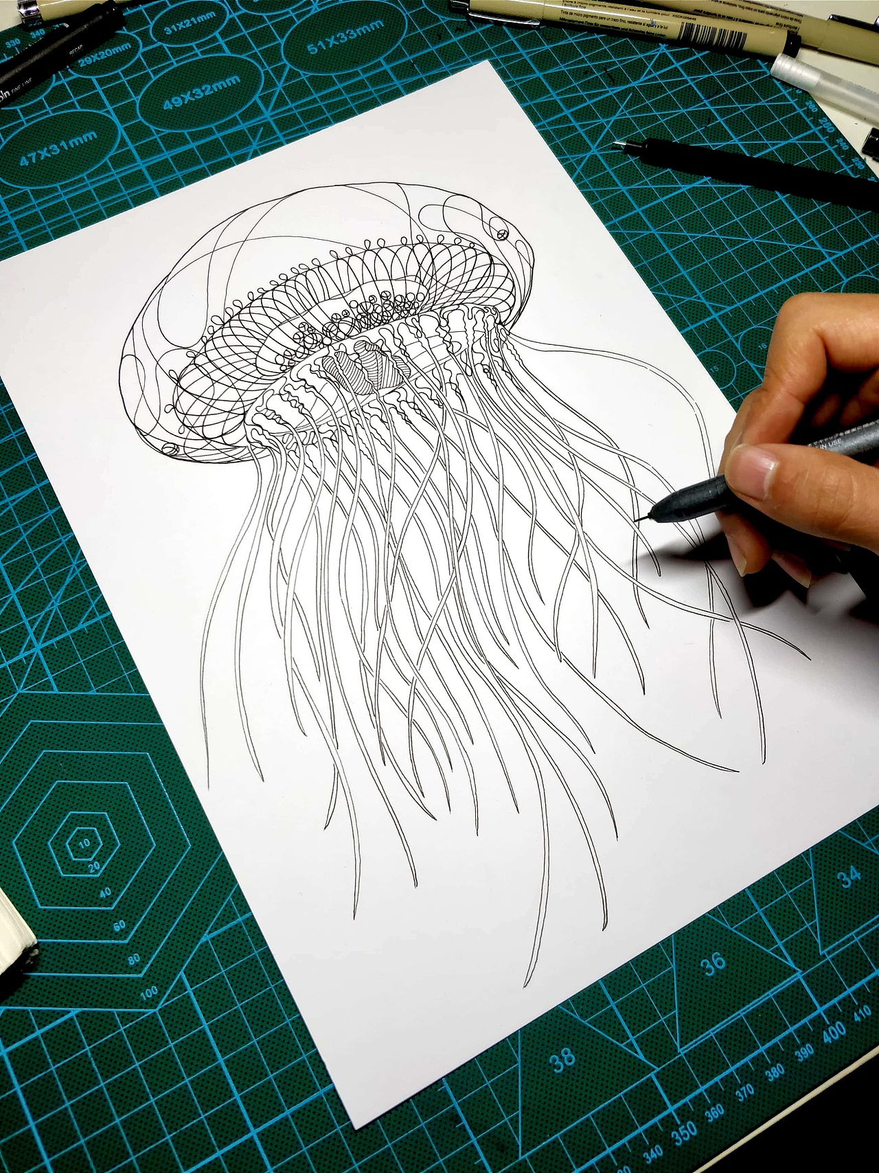 一组黑白水母插画