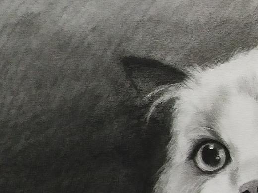 素描练习（个人主页-ZMzg5NTA4OTI=） - 创作习作 - 站酷设计师月下灯火阑珊原创素材 - 站酷ZCOOL