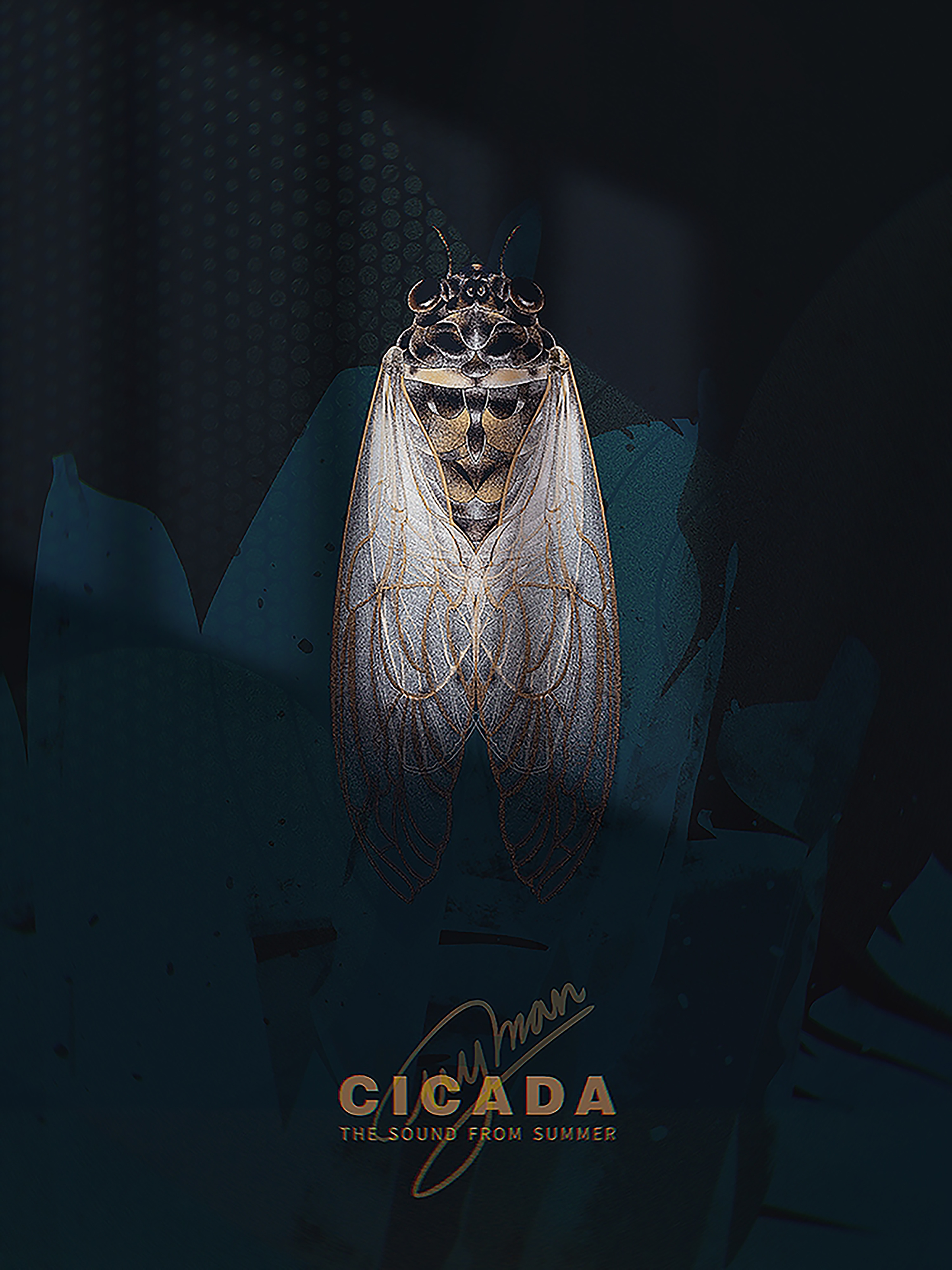 蝉|插画|创作习作|午宇 - 原创作品 - 站酷 (zcool)