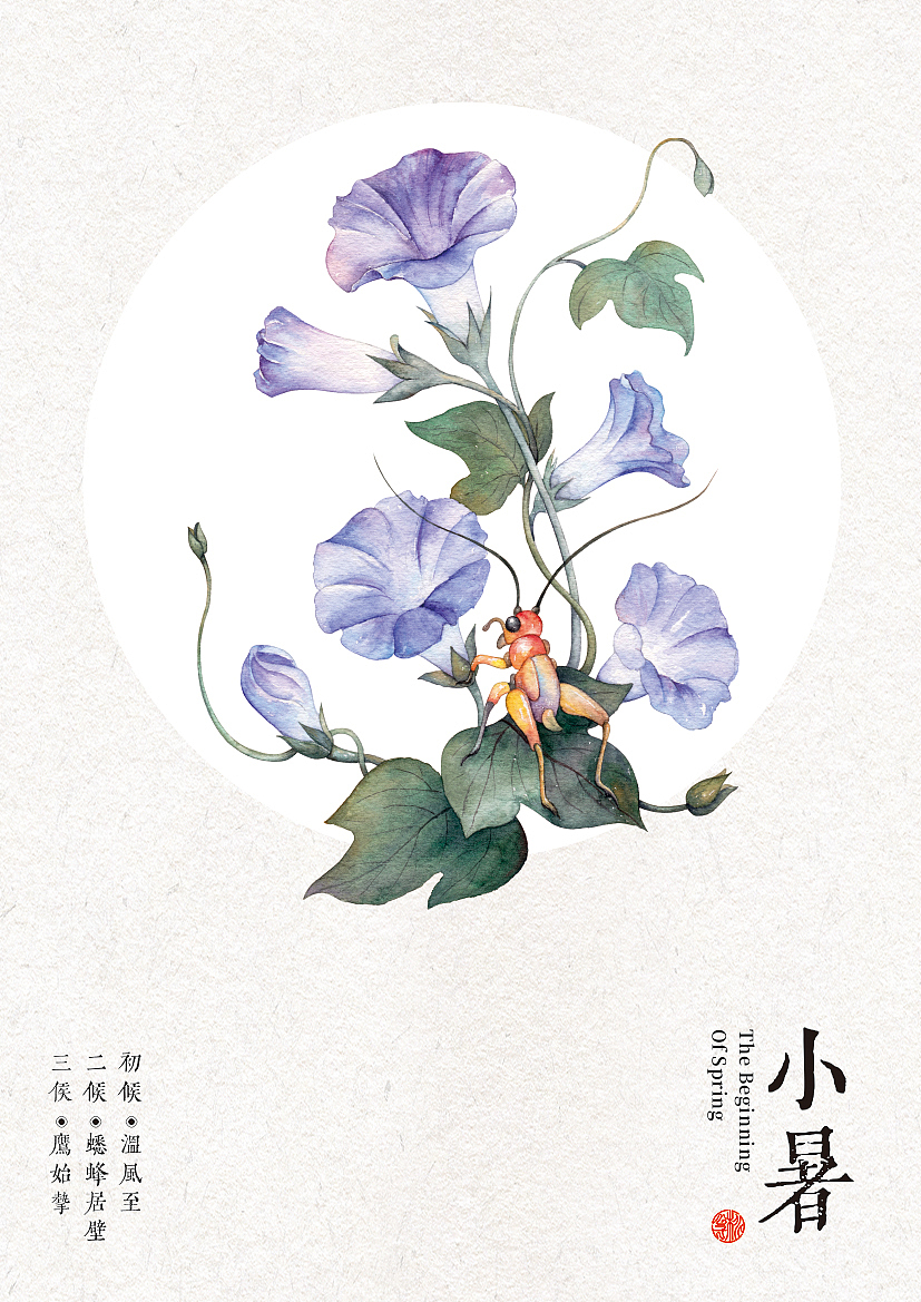 二十四时花物志（图ZMjI2NTg5NTYw） - 艺术插画 - 站酷设计师桃乙原创素材 - 站酷ZCOOL