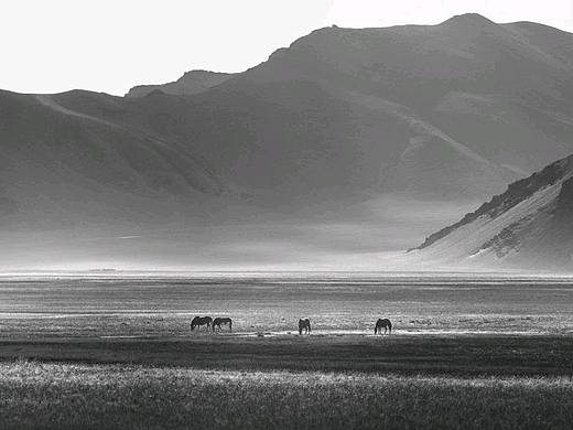 班公错湿地（黑白）