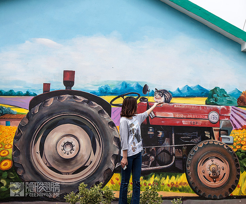 ▲ 逗猫,逗猫,永恒的主题~