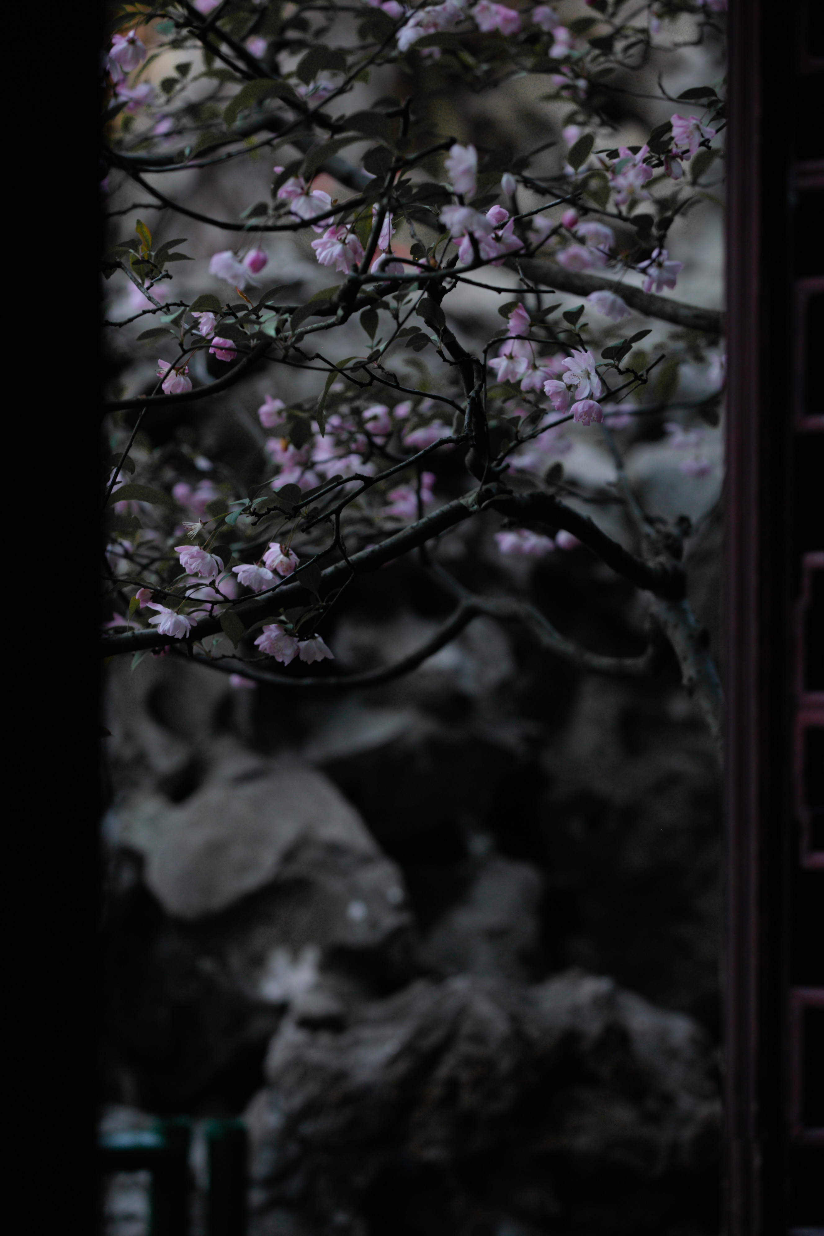 萧寒Jevil的个人主页（封面预览） - 主页封面设置 - 站酷设计师萧寒Jevil原创素材 - 站酷ZCOOL